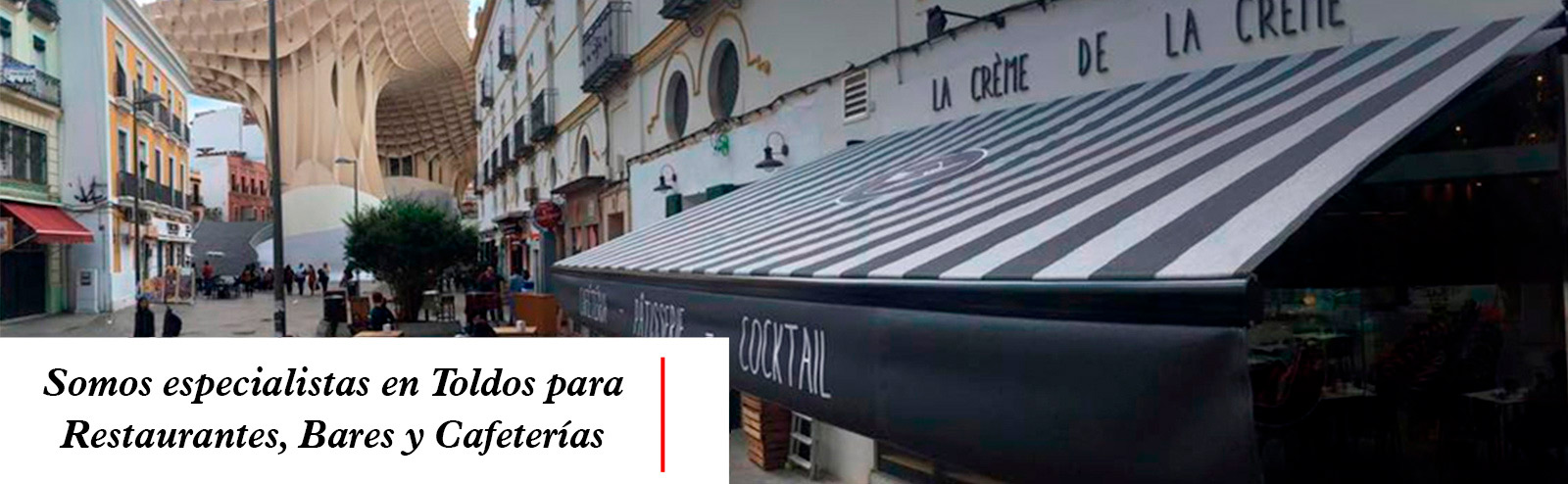 toldo líneas